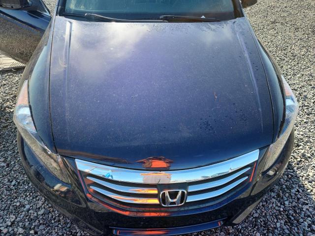 Aukcja sprzedaży 2012 Honda Accord, vin: 1HGCP2F47CA161038, numer aukcji: 59327286