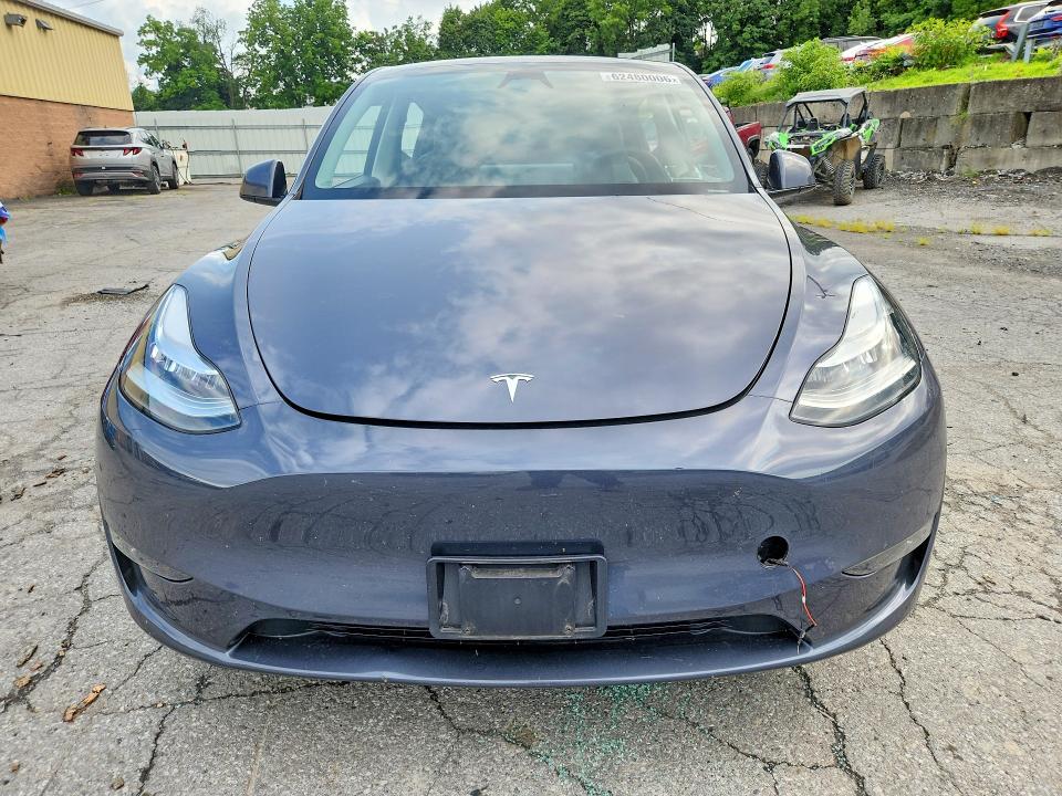 Продажа на аукционе авто 2023 Tesla Model Y, vin: 7SAYGDEE3PA149556, номер лота: 62480006