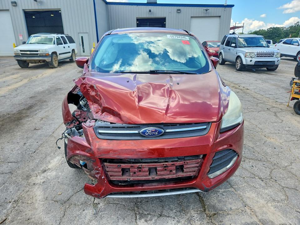 2014 Ford Escape მანქანა იყიდება აუქციონზე, vin: 1FMCU0GX4EUC30124, აუქციონის ნომერი: 60794346