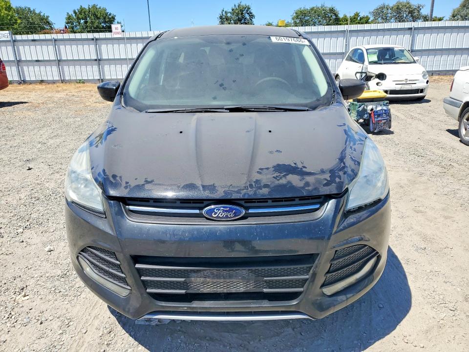 2014 Ford Escape მანქანა იყიდება აუქციონზე, vin: 1FMCU0GX8EUB81705, აუქციონის ნომერი: 60197686