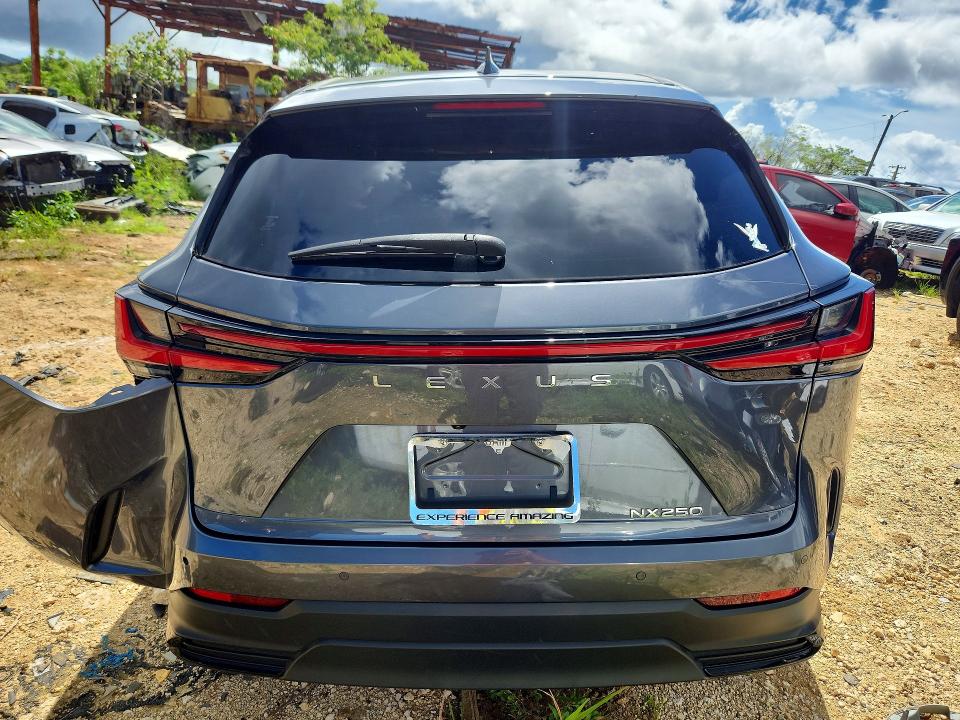 Auction sale of the 2024 Lexus Nx, vin: JTJGDCAZ8R2010534, lot number: 61400216