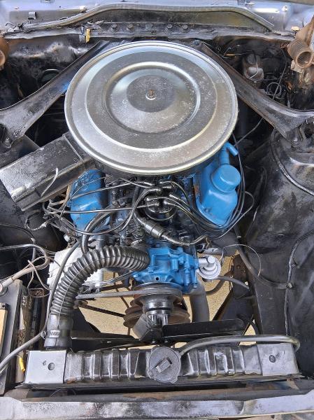 1967 Ford Mustang მანქანა იყიდება აუქციონზე, vin: 7701G252161, აუქციონის ნომერი: 60718266