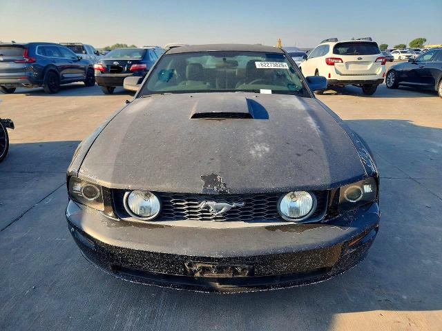 Aukcja sprzedaży 2009 Ford Mustang, vin: 1ZVHT82H195102397, numer aukcji: 62273826
