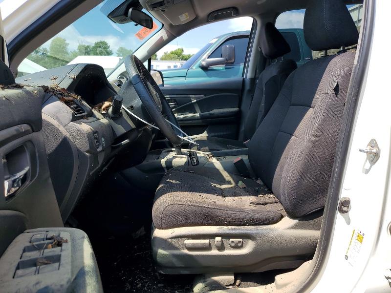 62220416 :رقم المزاد ، 5FNYF5H36KB025566 vin ، 2019 Honda Pilot مزاد بيع