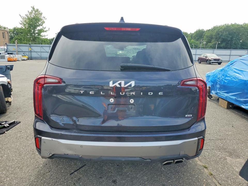 Aukcja sprzedaży 2025 Kia Telluride, vin: 5XYP6DGC2SG591496, numer aukcji: 62245066