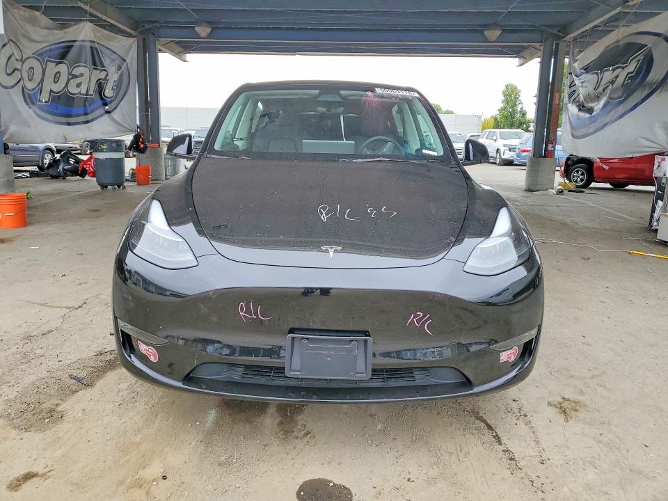 Продаж на аукціоні авто 2023 Tesla Model Y, vin: 7SAYGDED8PF969254, номер лоту: 59904176