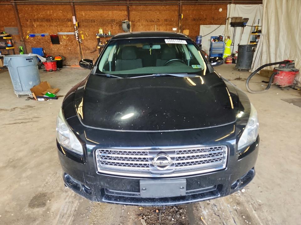 59861466 :رقم المزاد ، 1N4AA51E19C860984 vin ، 2009 Nissan Maxima مزاد بيع