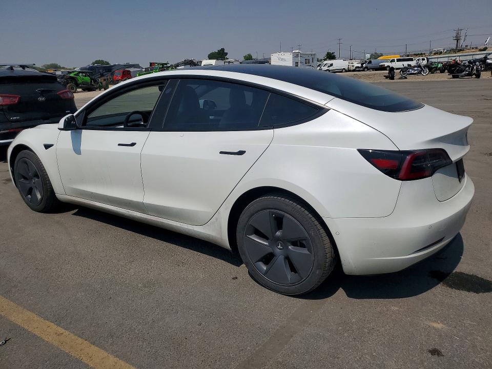 Auction sale of the 2021 Tesla Model 3, vin: 5YJ3E1EA5MF024596, lot number: 63036666