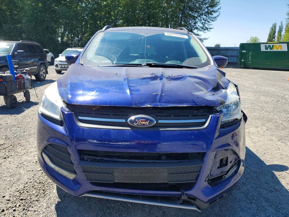 60226366 :رقم المزاد ، 1FMCU9G95DUC36390 vin ، 2013 Ford Escape مزاد بيع