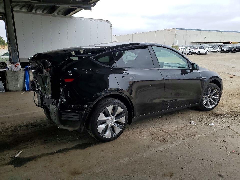 Продаж на аукціоні авто 2023 Tesla Model Y, vin: 7SAYGDED8PF969254, номер лоту: 59904176