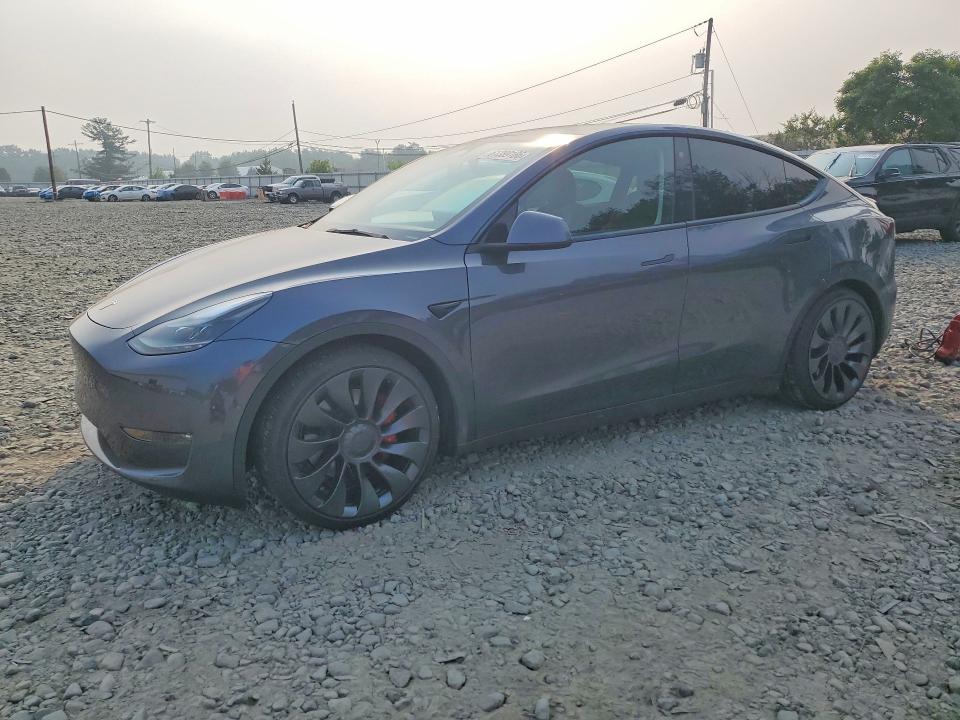 Auction sale of the 2023 Tesla Model Y, vin: 7SAYGDEFXPF582514, lot number: 61389186