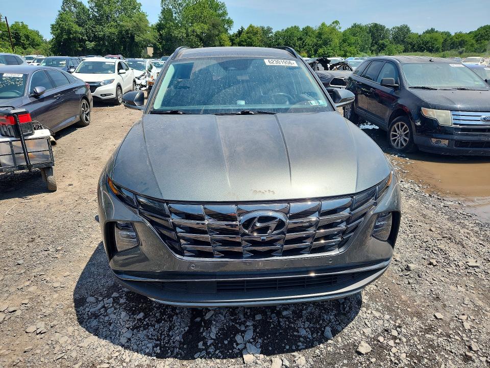 Продаж на аукціоні авто 2023 Hyundai Tucson, vin: 5NMJECAEXPH274348, номер лоту: 62301956