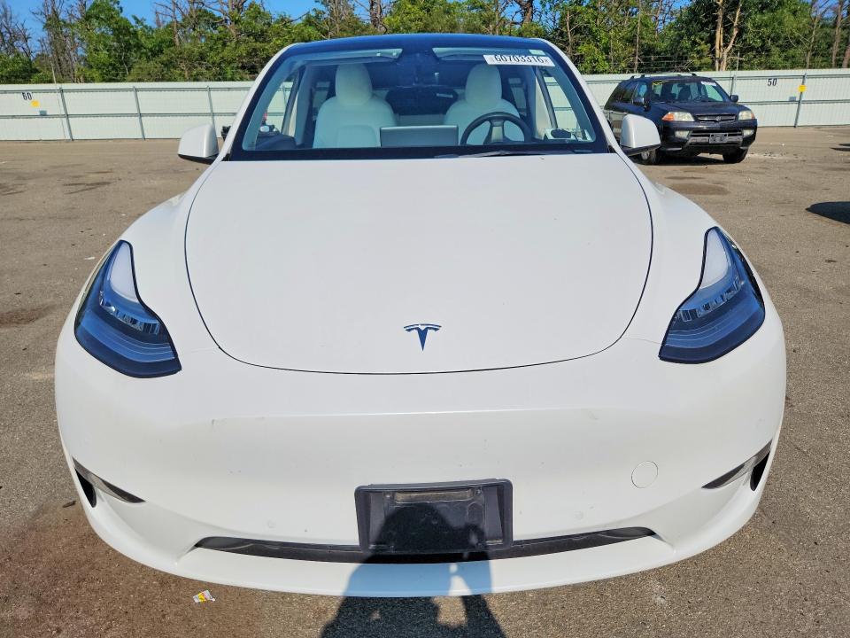 60703316 :رقم المزاد ، 5YJYGDEE1MF130855 vin ، 2021 Tesla Model Y مزاد بيع