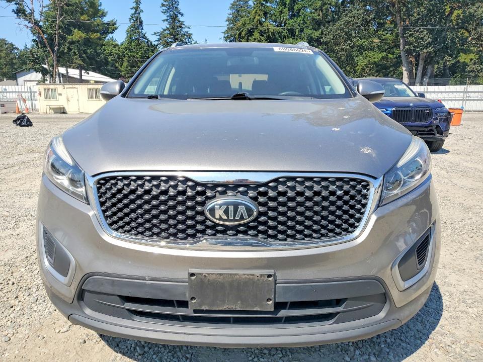 60865626 :رقم المزاد ، 5XYPG4A51HG220393 vin ، 2017 Kia Sorento مزاد بيع