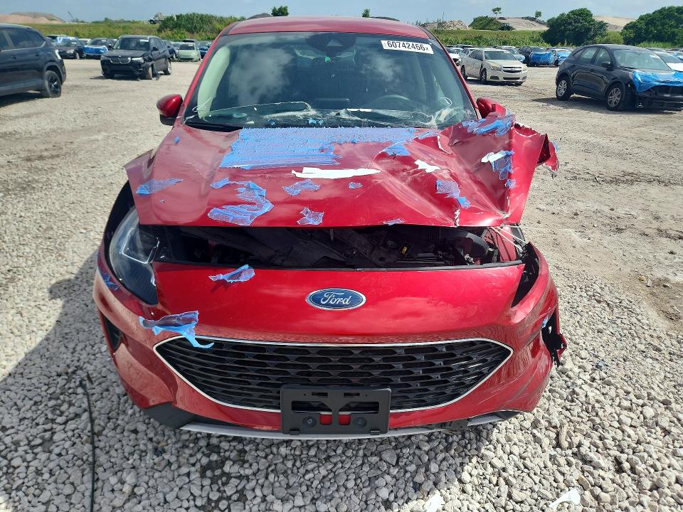 Продаж на аукціоні авто 2020 Ford Escape, vin: 1FMCU9G69LUB31954, номер лоту: 60742466