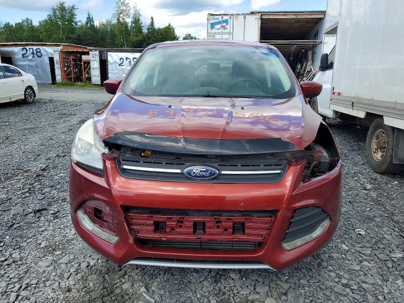 2014 Ford Escape მანქანა იყიდება აუქციონზე, vin: 1FMCU9G9XEUE43116, აუქციონის ნომერი: 59951586