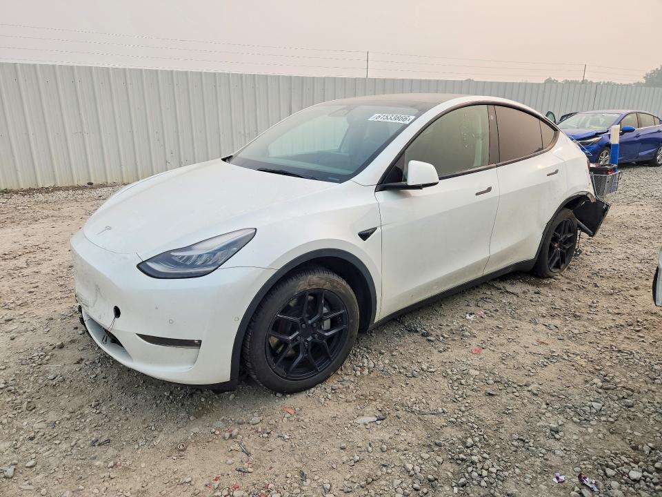 61533866 :رقم المزاد ، 5YJYGDEE8MF210976 vin ، 2021 Tesla Model Y مزاد بيع