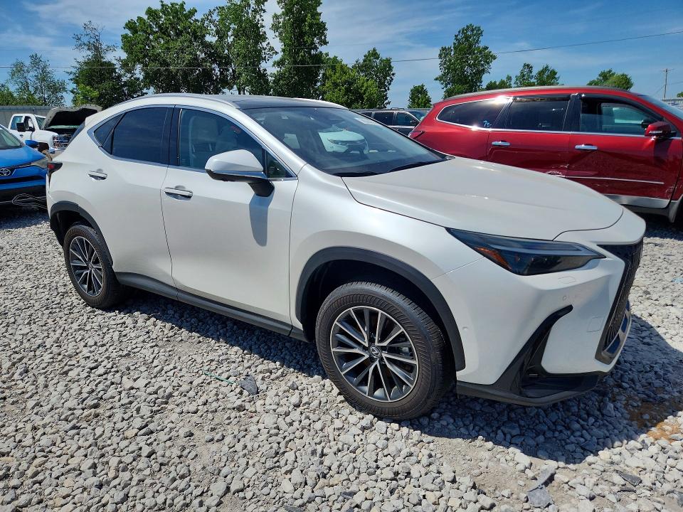 Продаж на аукціоні авто 2025 Lexus Nx 350h, vin: JTJHKCEZ4S2055433, номер лоту: 58555066