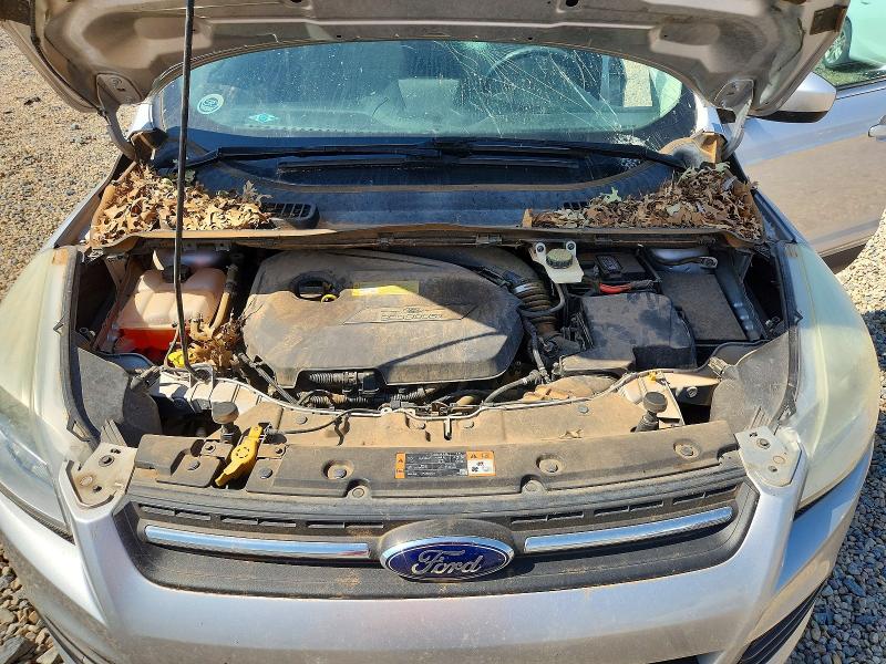 Продажа на аукционе авто 2014 Ford Escape, vin: 1FMCU0GX8EUC29817, номер лота: 60245246