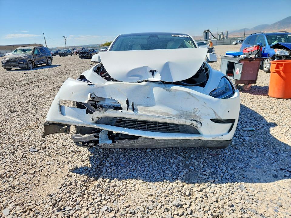2021 Tesla Model Y მანქანა იყიდება აუქციონზე, vin: 5YJYGDEE7MF074176, აუქციონის ნომერი: 63508966