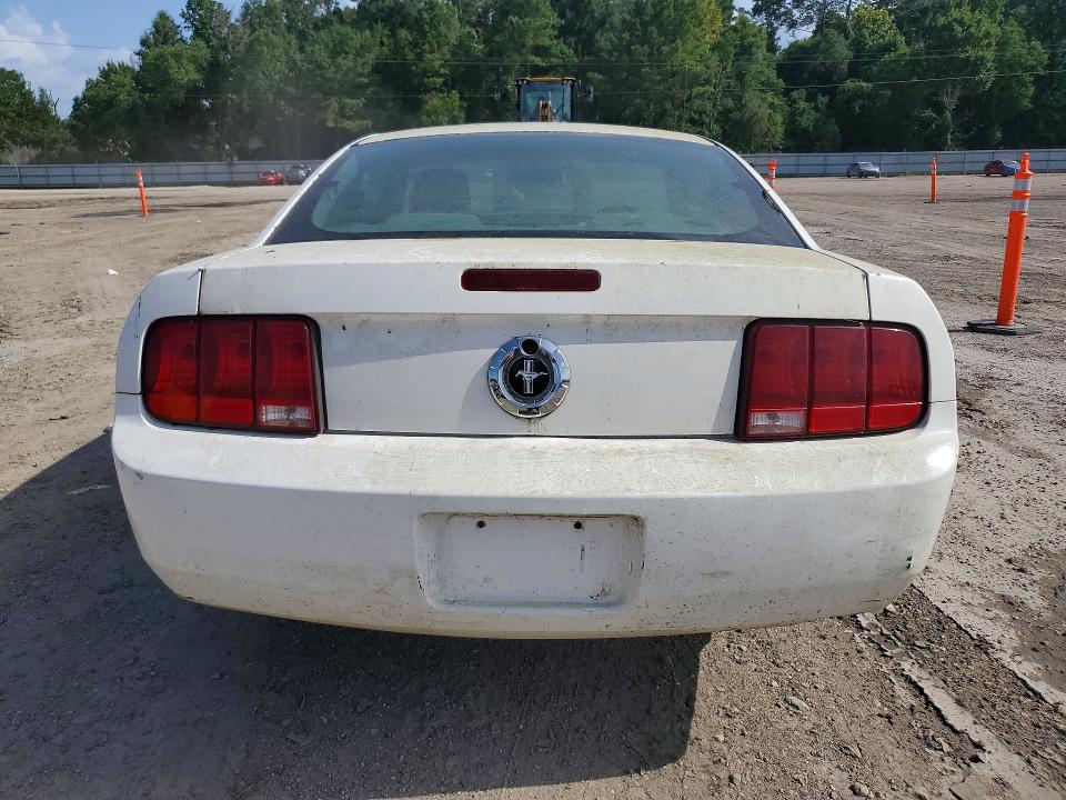 2005 Ford Mustang მანქანა იყიდება აუქციონზე, vin: 1ZVFT80N855139165, აუქციონის ნომერი: 61340286