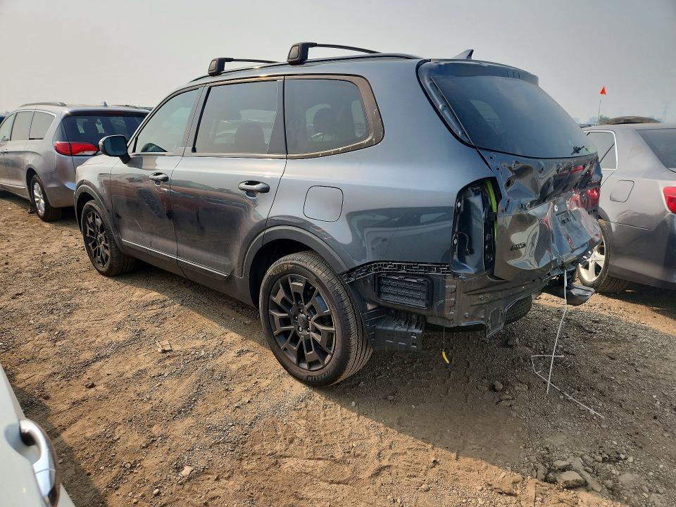 Aukcja sprzedaży 2021 Kia Telluride, vin: 5XYP3DHC3MG157940, numer aukcji: 60975766