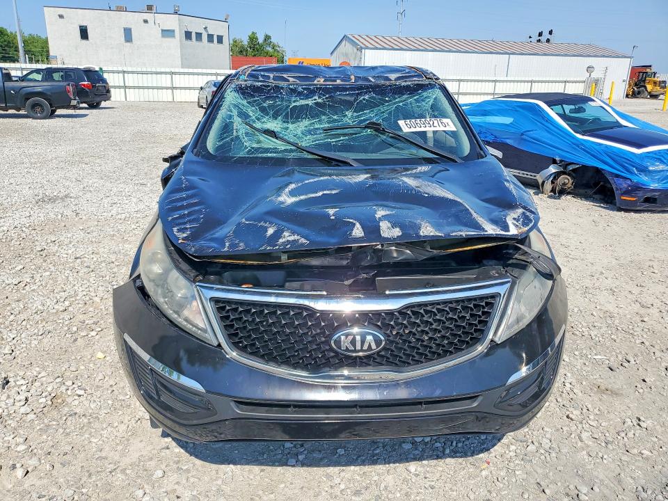 Продаж на аукціоні авто 2016 Kia Sportage, vin: KNDPBCAC6G7869996, номер лоту: 60699276