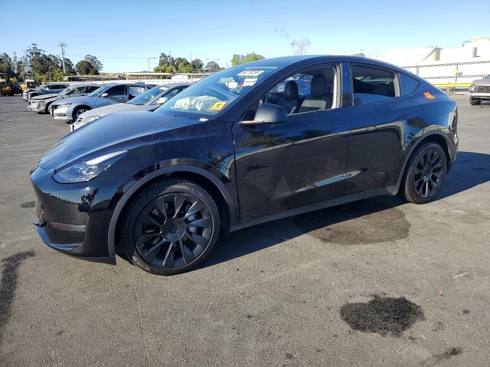 Aukcja sprzedaży 2024 Tesla Model Y, vin: 7SAYGDED3RF052693, numer aukcji: 63202496