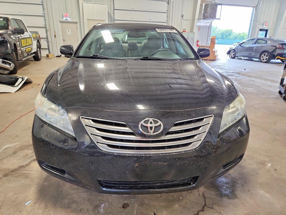 60005146 :رقم المزاد ، 4T1BB46K49U075563 vin ، 2009 Toyota Camry مزاد بيع