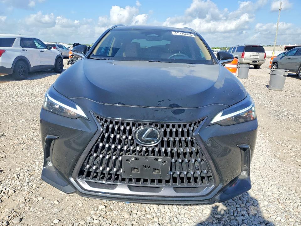 59176596 :رقم المزاد ، 2T2AGCEZXTC113999 vin ، 2026 Lexus Nx 350 مزاد بيع