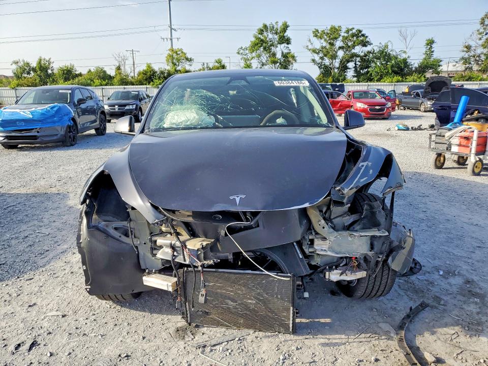 Продажа на аукционе авто 2024 Tesla Model Y, vin: 7SAYGDED3RF015174, номер лота: 60384186
