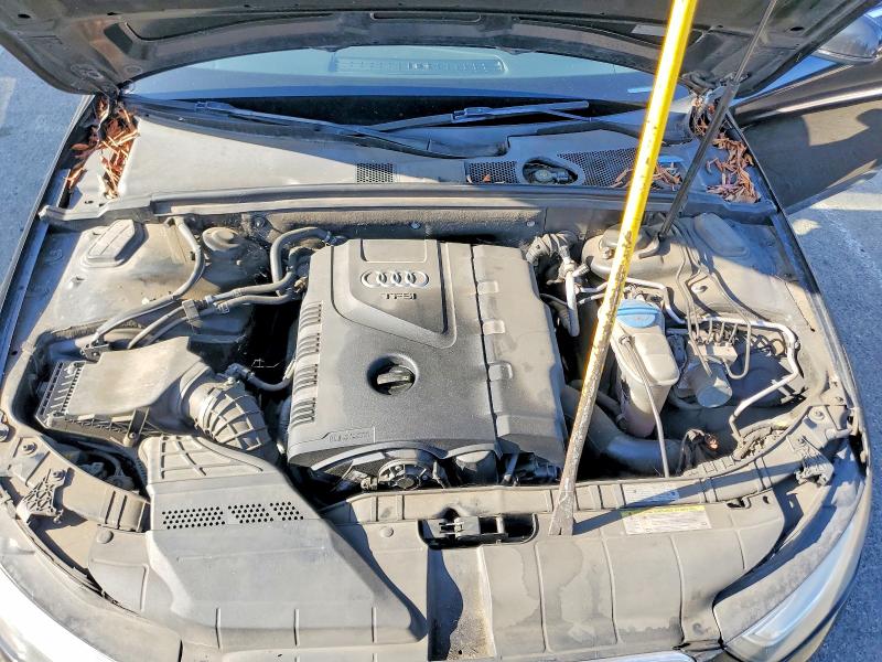 2013 Audi A4 მანქანა იყიდება აუქციონზე, vin: WAUEFAFL5DN016096, აუქციონის ნომერი: 62903786
