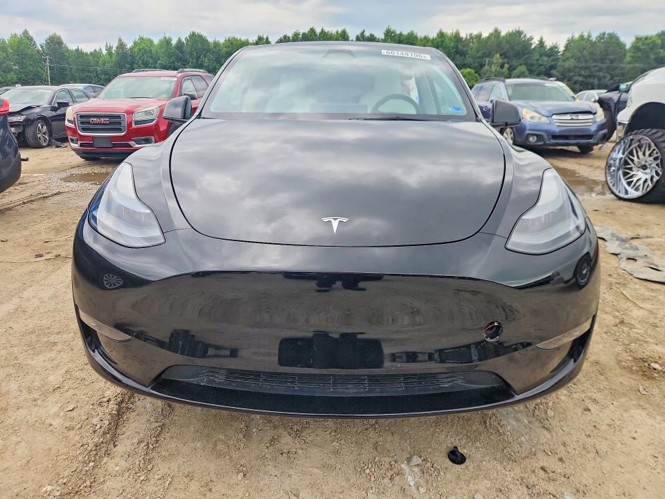 Продаж на аукціоні авто 2025 Tesla Model Y, vin: 7SAYGDEE7SF300927, номер лоту: 60149196