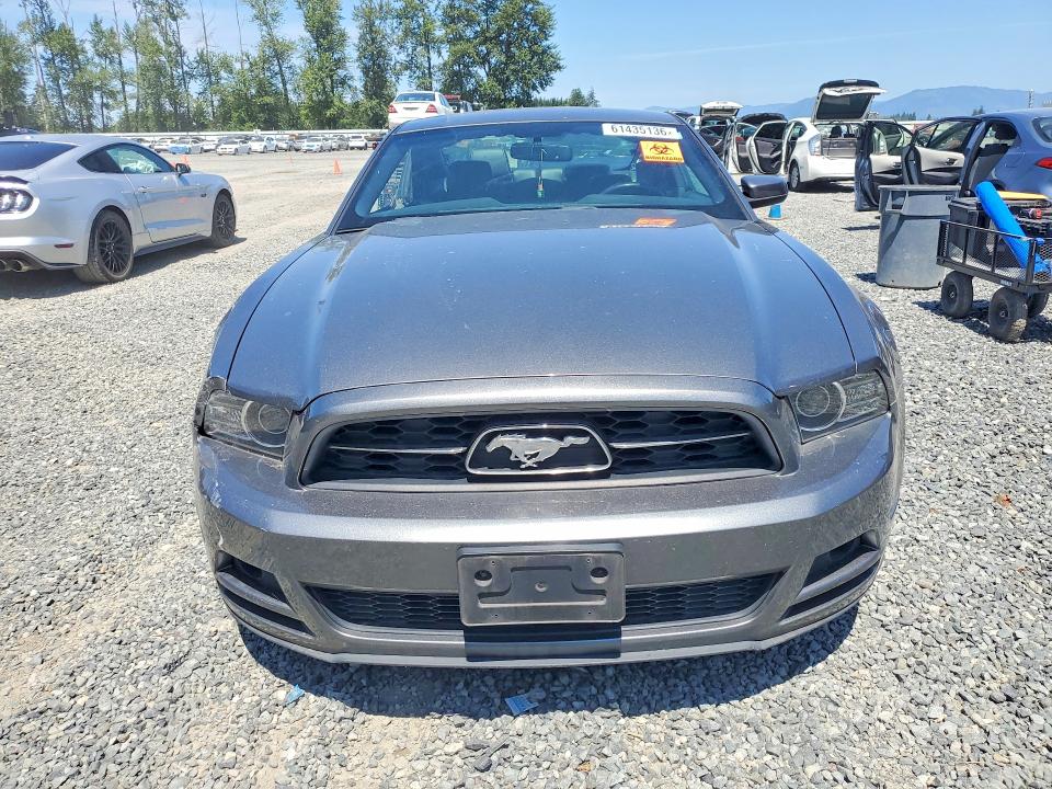 61435136 :رقم المزاد ، 1ZVBP8AM2D5227121 vin ، 2013 Ford Mustang مزاد بيع