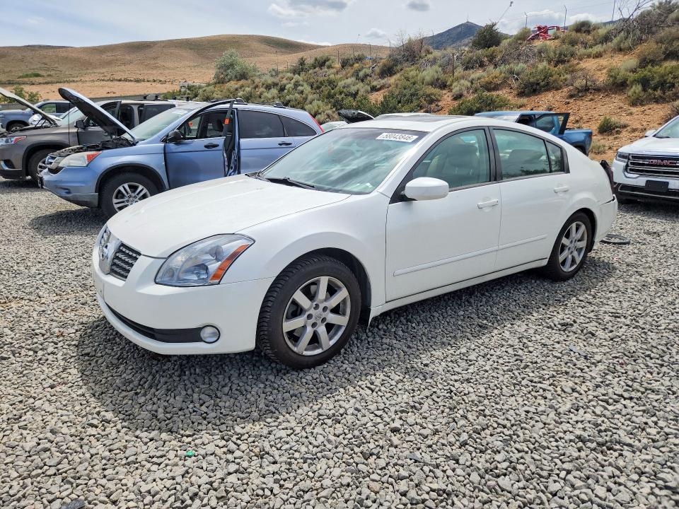 2004 Nissan Maxima მანქანა იყიდება აუქციონზე, vin: 1N4BA41E44C855382, აუქციონის ნომერი: 58043846