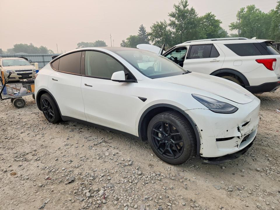 61533866 :رقم المزاد ، 5YJYGDEE8MF210976 vin ، 2021 Tesla Model Y مزاد بيع