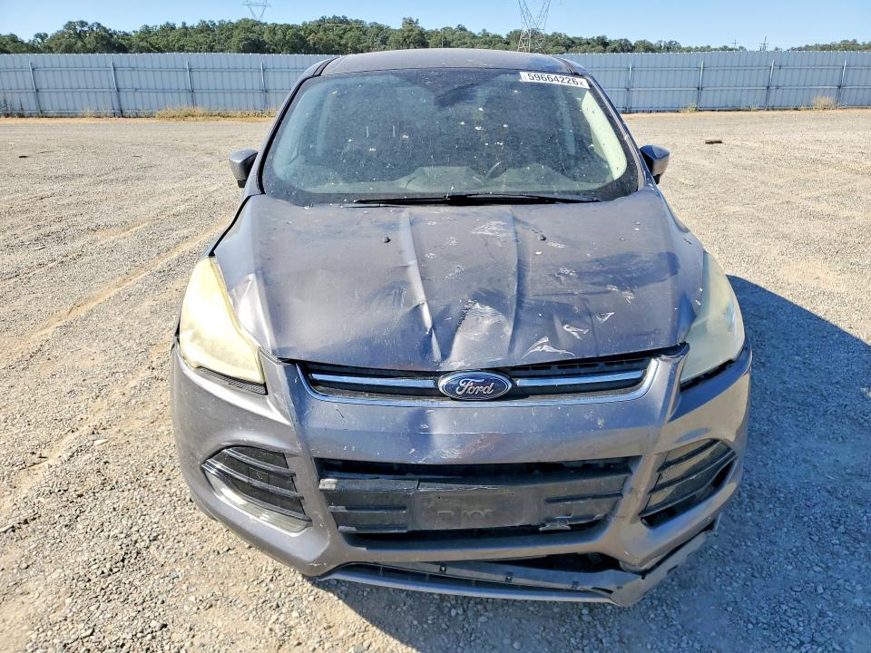 59664226 :رقم المزاد ، 1FMCU0HX7DUA81544 vin ، 2013 Ford Escape مزاد بيع