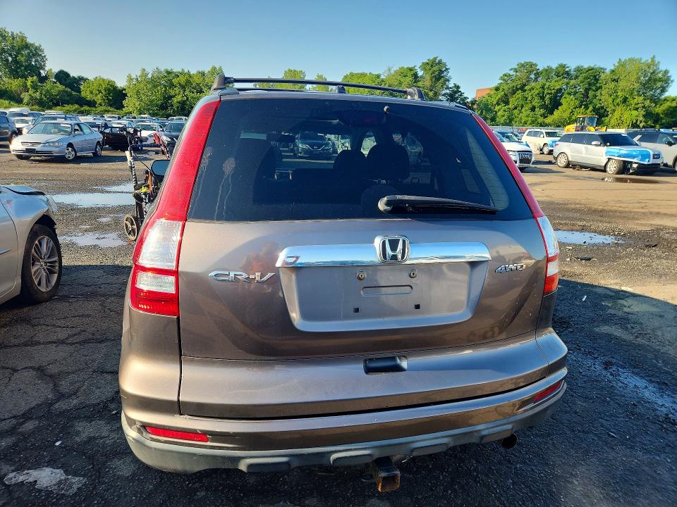 Продаж на аукціоні авто 2010 Honda Cr-v, vin: 5J6RE4H57AL080682, номер лоту: 60075836