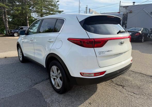 60530536 :رقم المزاد ، KNDPM3AC8K7623258 vin ، 2019 Kia Sportage مزاد بيع