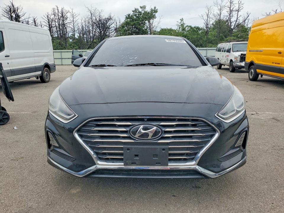 59743336 :رقم المزاد ، 5NPE24AF6KH811365 vin ، 2019 Hyundai Sonata مزاد بيع