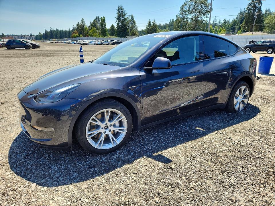 Продажа на аукционе авто 2024 Tesla Model Y, vin: 7SAYGDEE5RF053823, номер лота: 60746366
