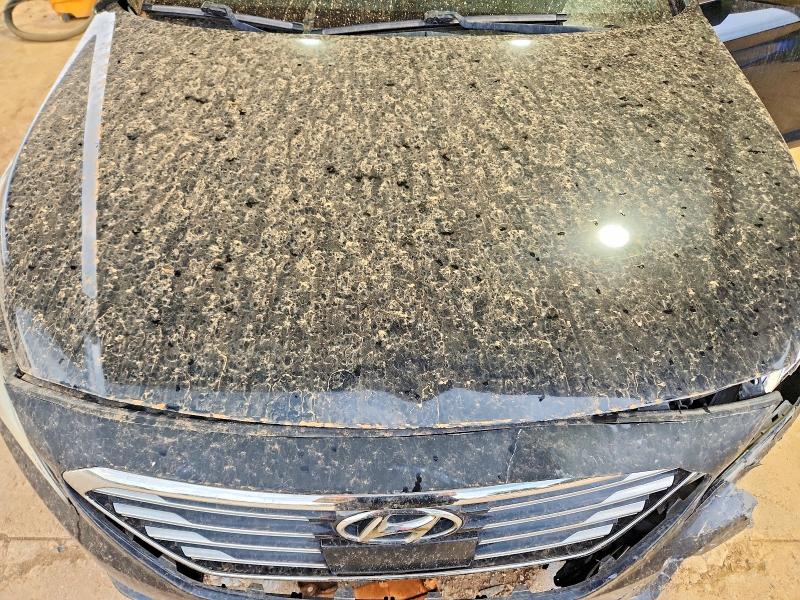 Продаж на аукціоні авто 2015 Hyundai Sonata, vin: 5NPE34AF0FH053686, номер лоту: 59657646
