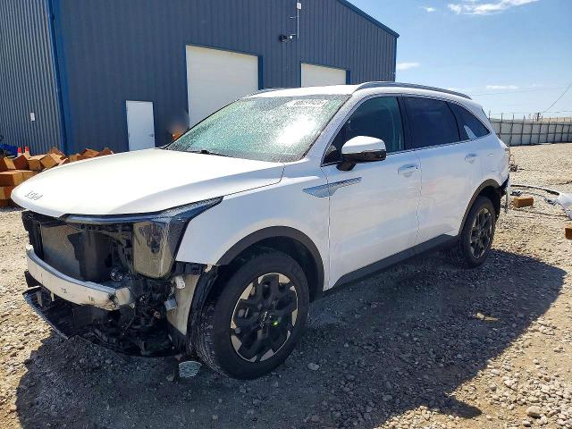 2024 Kia Sorento მანქანა იყიდება აუქციონზე, vin: 5XYRLDJC8RG256442, აუქციონის ნომერი: 60059926