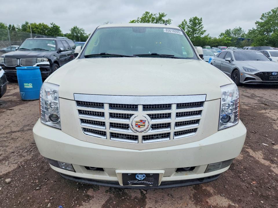 Auction sale of the 2014 Cadillac Escalade, vin: 1GYS4BEFXER216313, lot number: 85618095