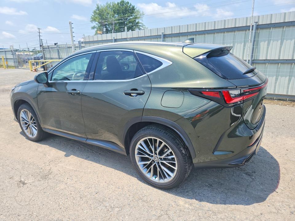 2026 Lexus Nx 350h მანქანა იყიდება აუქციონზე, vin: 2T2HKCEZ6TC058917, აუქციონის ნომერი: 62159216