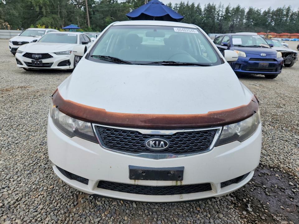 Aukcja sprzedaży 2011 Kia Forte, vin: KNAFU4A25B5403805, numer aukcji: 60402546