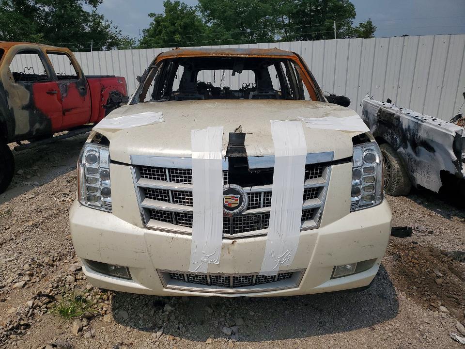 Продаж на аукціоні авто 2010 Cadillac Escalade, vin: 1GYUKKEFXAR273135, номер лоту: 62048806
