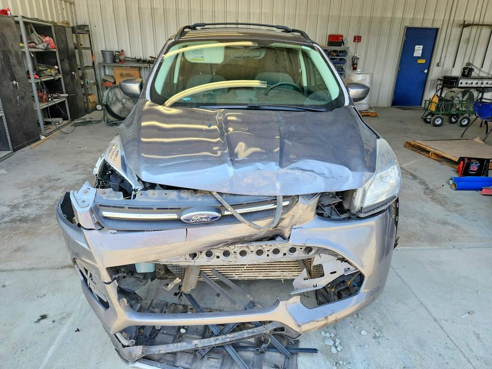 Продаж на аукціоні авто 2013 Ford Escape, vin: 1FMCU0GXXDUD63985, номер лоту: 61498726