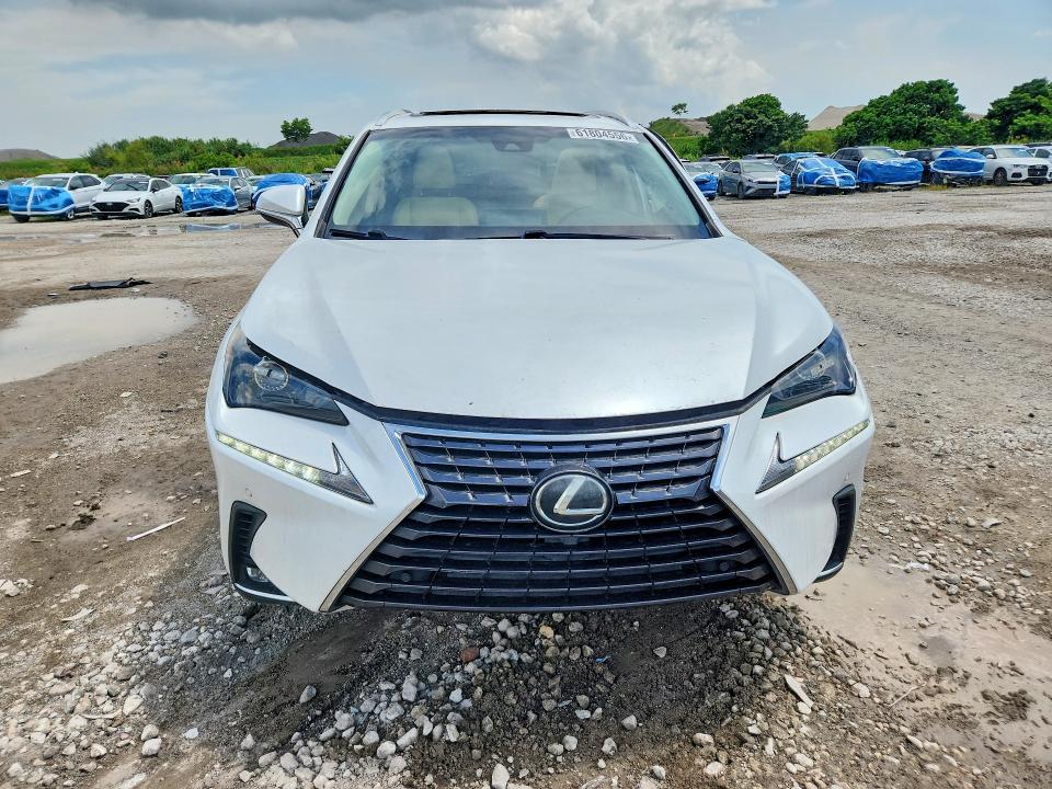 61804556 :رقم المزاد ، JTJYARBZ2K2141558 vin ، 2019 Lexus Nx 300 مزاد بيع