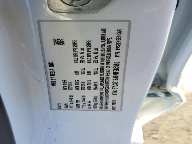 60497436 :رقم المزاد ، 5YJ3E1EA5MF985585 vin ، 2021 Tesla Model 3 مزاد بيع